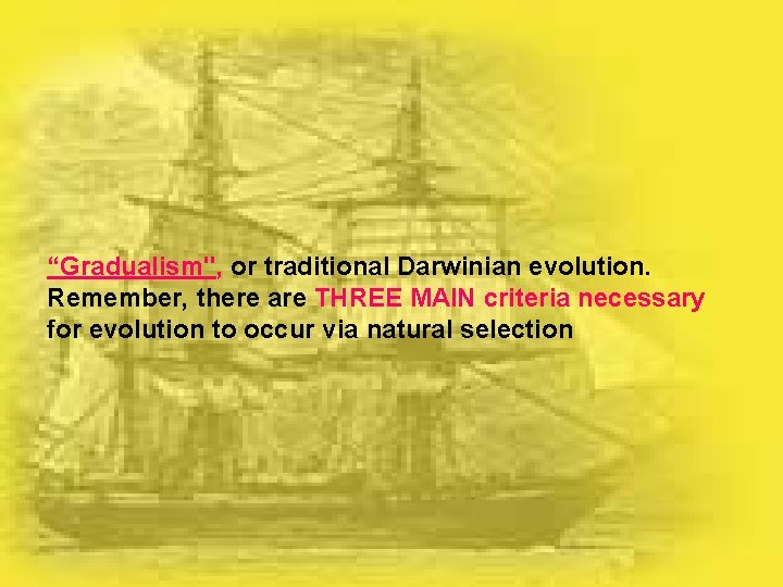 “Gradualism", or traditional Darwinian evolution. Remember, there are THREE MAIN criteria necessary for evolution