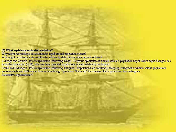 (2) What explains punctuated evolution? Why might morphological evolution be rapid around speciation events?