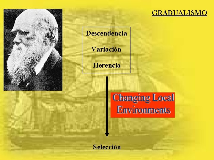 GRADUALISMO Descendencia Variación Herencia Selección 