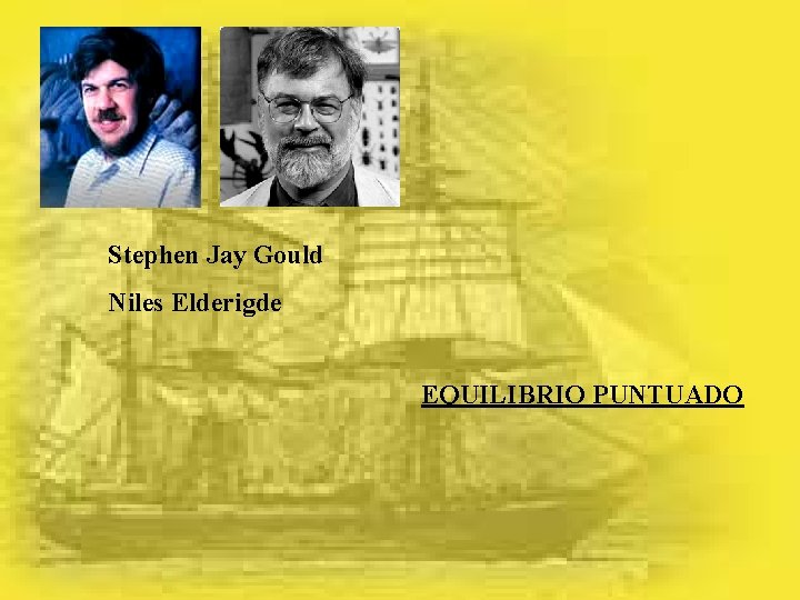 Stephen Jay Gould Niles Elderigde EQUILIBRIO PUNTUADO 