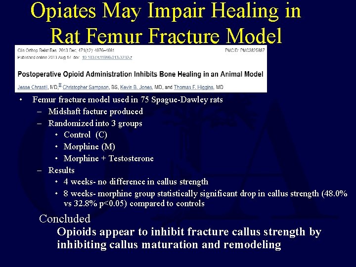 Opiates May Impair Healing in Rat Femur Fracture Model • Femur fracture model used