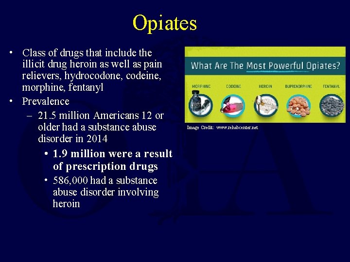 Opiates • Class of drugs that include the illicit drug heroin as well as