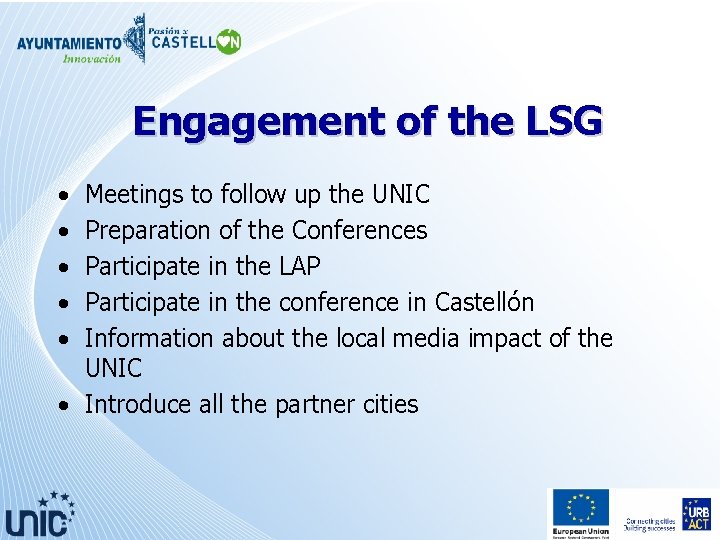 Engagement of the LSG • • • Meetings to follow up the UNIC Preparation