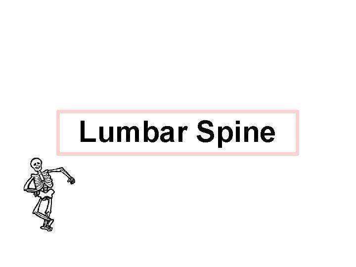 Lumbar Spine 