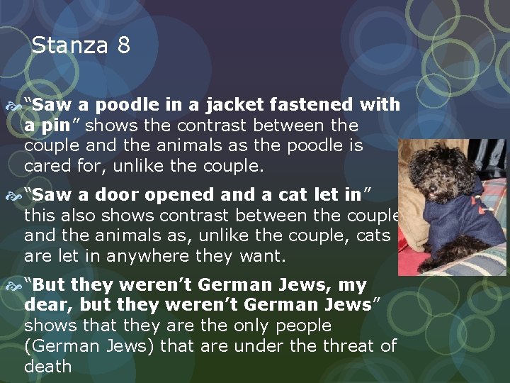 Stanza 8 “Saw a poodle in a jacket fastened with a pin” shows the