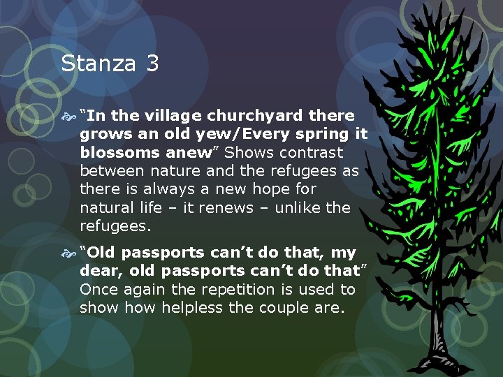 Stanza 3 “In the village churchyard there grows an old yew/Every spring it blossoms