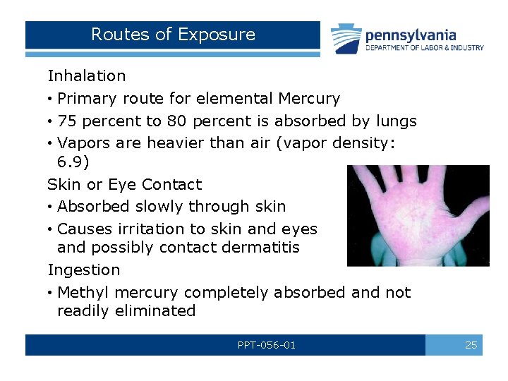 Routes of Exposure Inhalation • Primary route for elemental Mercury • 75 percent to