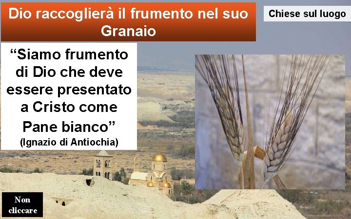 Dio raccoglierà il frumento nel suo Granaio “Siamo frumento di Dio che deve essere