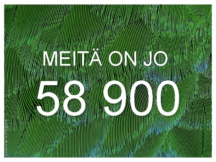 MEITÄ ON JO 58 900 