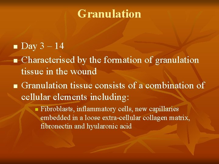 Granulation n Day 3 – 14 Characterised by the formation of granulation tissue in