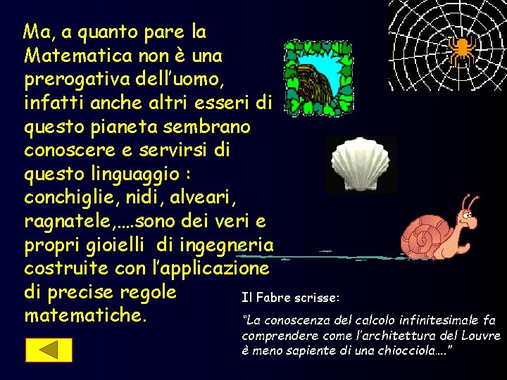 Ma, a quanto pare la Matematica non è una prerogativa dell’uomo, infatti anche altri