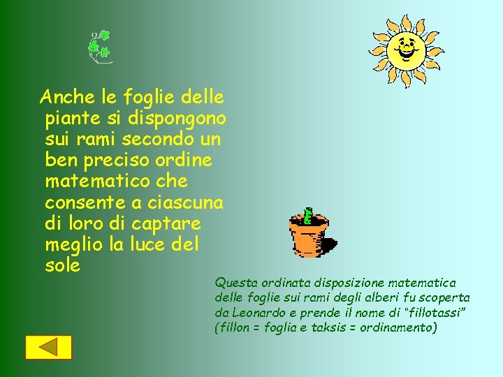 Anche le foglie delle piante si dispongono sui rami secondo un ben preciso ordine