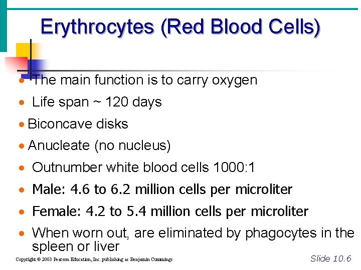Erythrocytes (Red Blood Cells) · The main function is to carry oxygen · Life