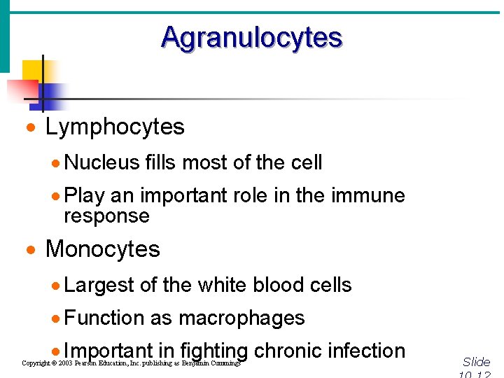 Agranulocytes · Lymphocytes · Nucleus fills most of the cell · Play an important