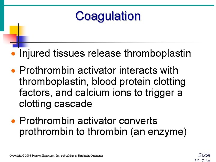 Coagulation · Injured tissues release thromboplastin · Prothrombin activator interacts with thromboplastin, blood protein