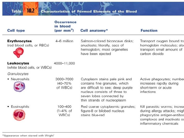 yright © 2003 Pearson Education, Inc. publishing as Benjamin Cummings Slide 10. 5 b