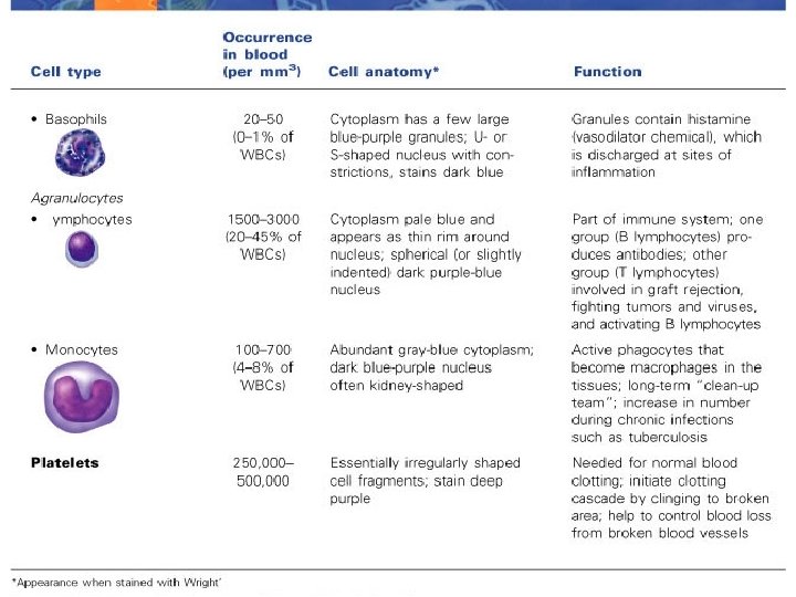 yright © 2003 Pearson Education, Inc. publishing as Benjamin Cummings Slide 10. 5 c