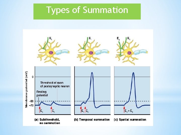 Types of Summation 