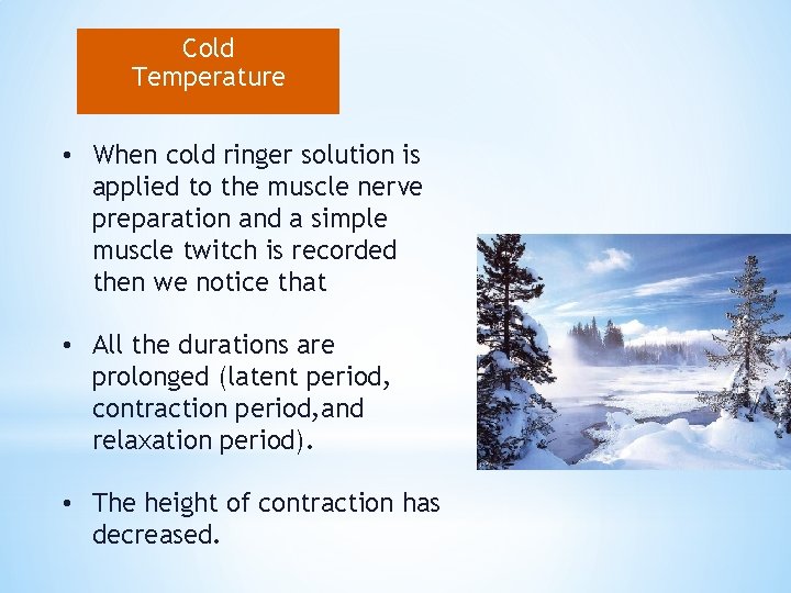 Cold Temperature • When cold ringer solution is applied to the muscle nerve preparation