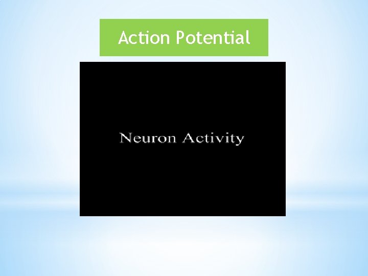 Action Potential 
