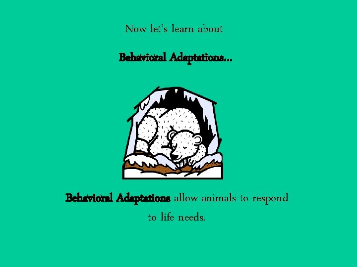 Now let’s learn about Behavioral Adaptations… Behavioral Adaptations allow animals to respond to life