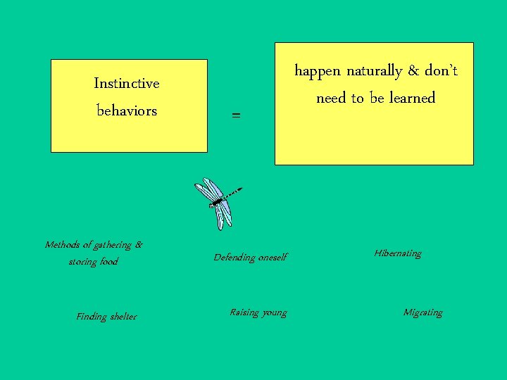 Instinctive behaviors Methods of gathering & storing food Finding shelter = Defending oneself Raising