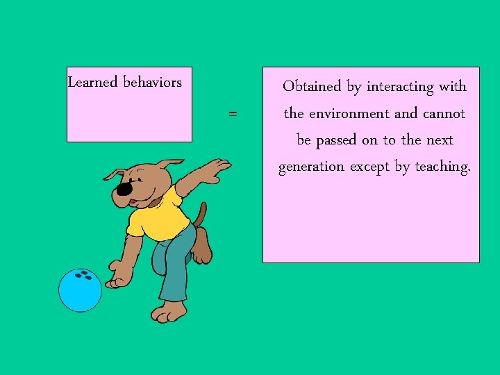 Learned behaviors = Obtained by interacting with the environment and cannot be passed on
