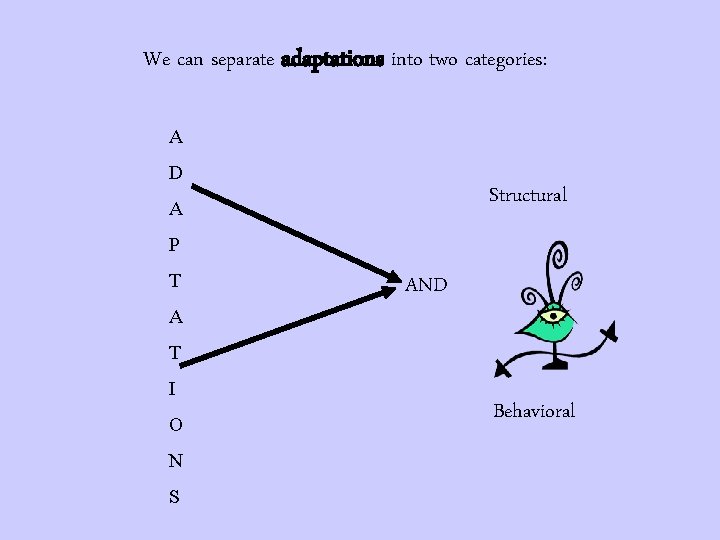 We can separate adaptations into two categories: A D Structural A P T A