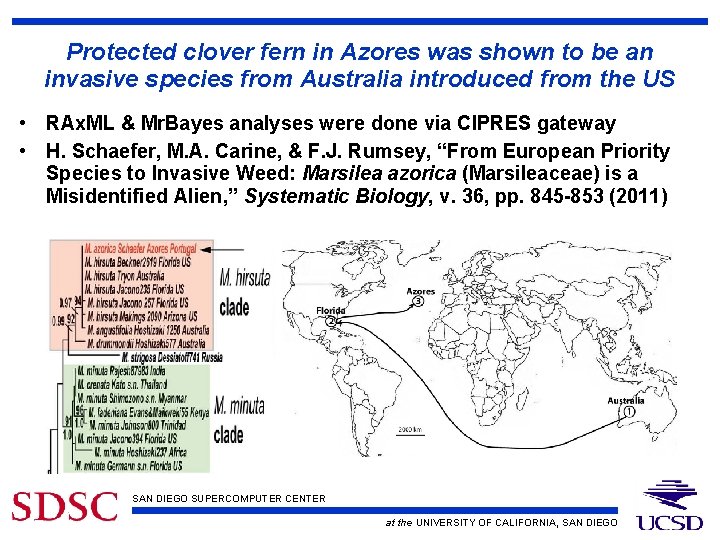 Protected clover fern in Azores was shown to be an invasive species from Australia