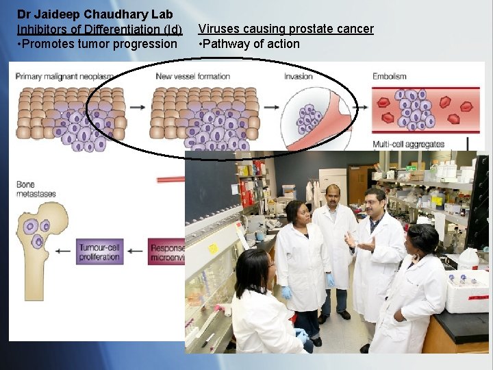 Dr Jaideep Chaudhary Lab Inhibitors of Differentiation (Id) • Promotes tumor progression Viruses causing