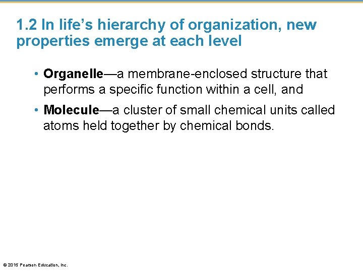 1. 2 In life’s hierarchy of organization, new properties emerge at each level •