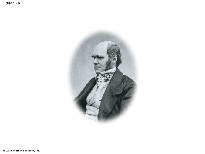 Figure 1. 7 b © 2015 Pearson Education, Inc. 