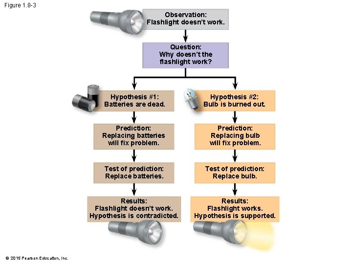 Chapter 1 Biology Exploring Life Power Point Lectures