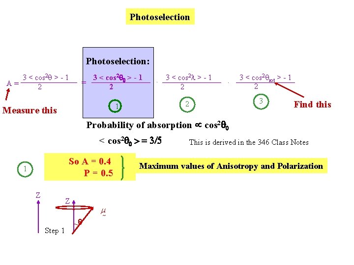 Photoselection: 3 < cos 2 q > - 1 A= 2 3 < cos Photoselection: 3 < cos 2 q > - 1 A= 2 3 < cos