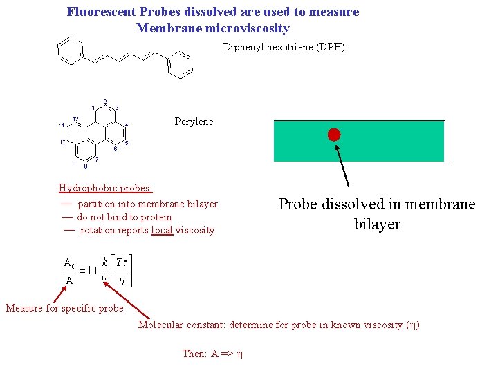 Fluorescent Probes dissolved are used to measure Membrane microviscosity Diphenyl hexatriene (DPH) Perylene Hydrophobic Fluorescent Probes dissolved are used to measure Membrane microviscosity Diphenyl hexatriene (DPH) Perylene Hydrophobic