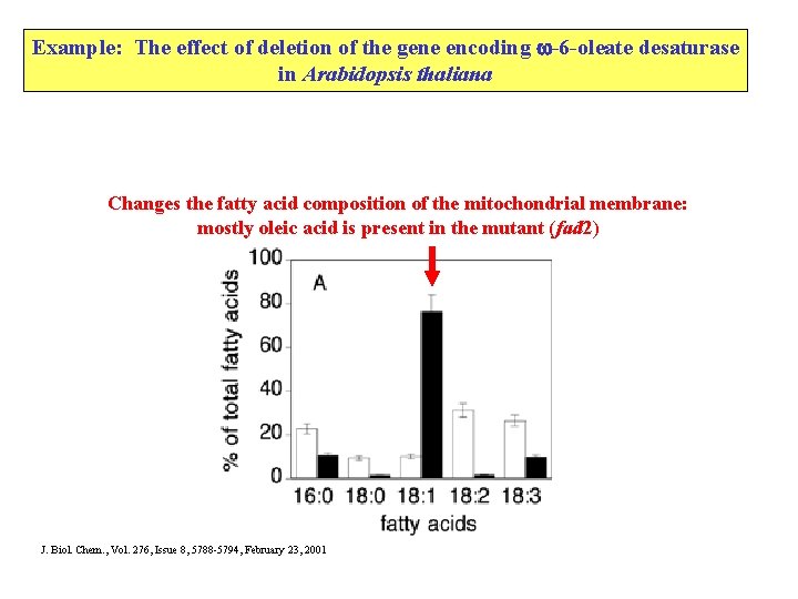 Example: The effect of deletion of the gene encoding -6 -oleate desaturase in Arabidopsis Example: The effect of deletion of the gene encoding -6 -oleate desaturase in Arabidopsis
