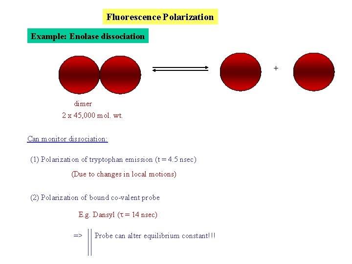 Fluorescence Polarization Example: Enolase dissociation + dimer 2 x 45, 000 mol. wt. Can Fluorescence Polarization Example: Enolase dissociation + dimer 2 x 45, 000 mol. wt. Can