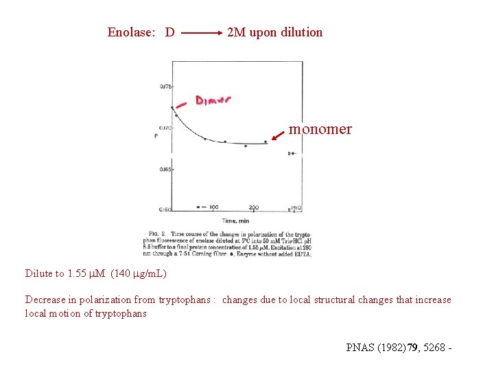 Enolase: D 2 M upon dilution monomer Dilute to 1. 55 M (140 g/m. Enolase: D 2 M upon dilution monomer Dilute to 1. 55 M (140 g/m.