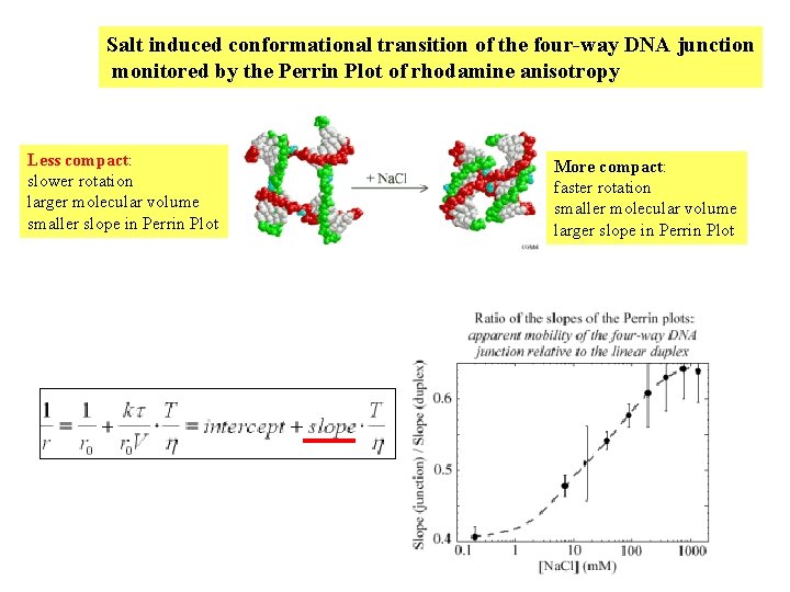 Salt induced conformational transition of the four-way DNA junction monitored by the Perrin Plot Salt induced conformational transition of the four-way DNA junction monitored by the Perrin Plot