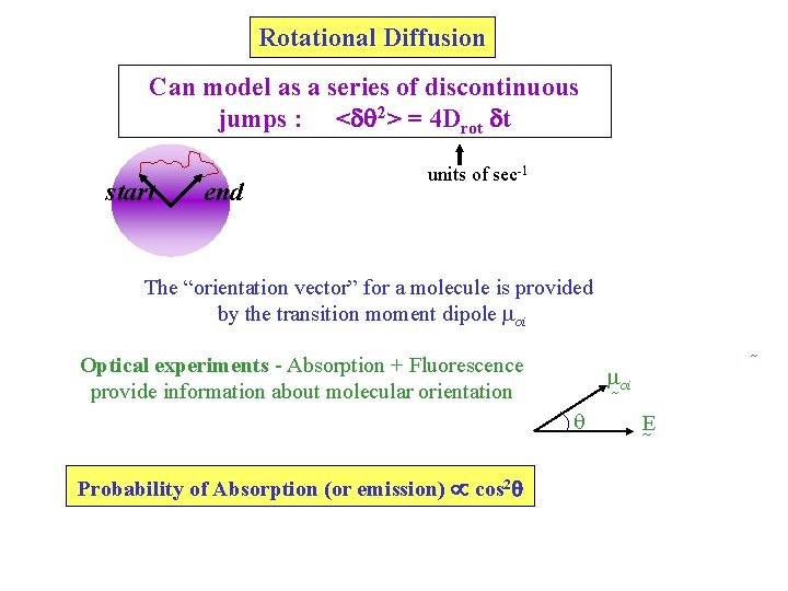 Rotational Diffusion Can model as a series of discontinuous jumps : <d 2> = Rotational Diffusion Can model as a series of discontinuous jumps : <d 2> =