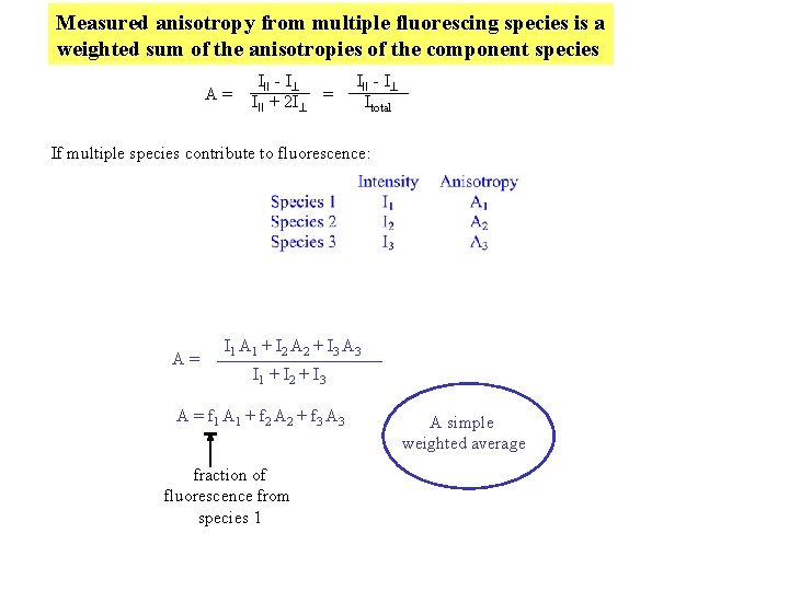 Measured anisotropy from multiple fluorescing species is a weighted sum of the anisotropies of Measured anisotropy from multiple fluorescing species is a weighted sum of the anisotropies of