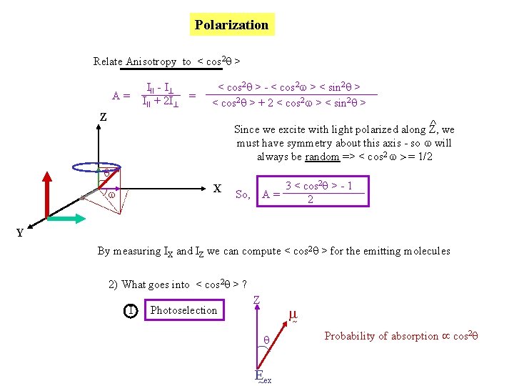 Polarization Relate Anisotropy to < cos 2 q > A= III - I III Polarization Relate Anisotropy to < cos 2 q > A= III - I III