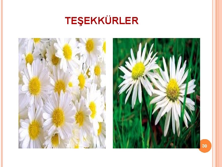 TEŞEKKÜRLER 30 
