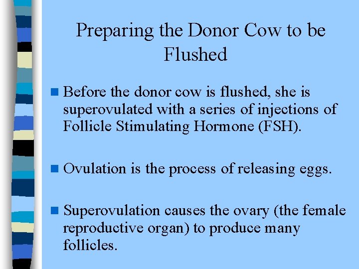 Preparing the Donor Cow to be Flushed n Before the donor cow is flushed,