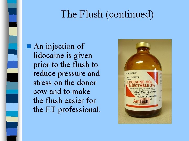The Flush (continued) n An injection of lidocaine is given prior to the flush