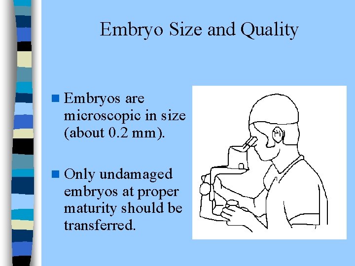 Embryo Size and Quality n Embryos are microscopic in size (about 0. 2 mm).