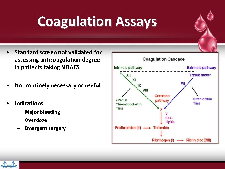 Coagulation Assays • Standard screen not validated for assessing anticoagulation degree in patients taking Coagulation Assays • Standard screen not validated for assessing anticoagulation degree in patients taking