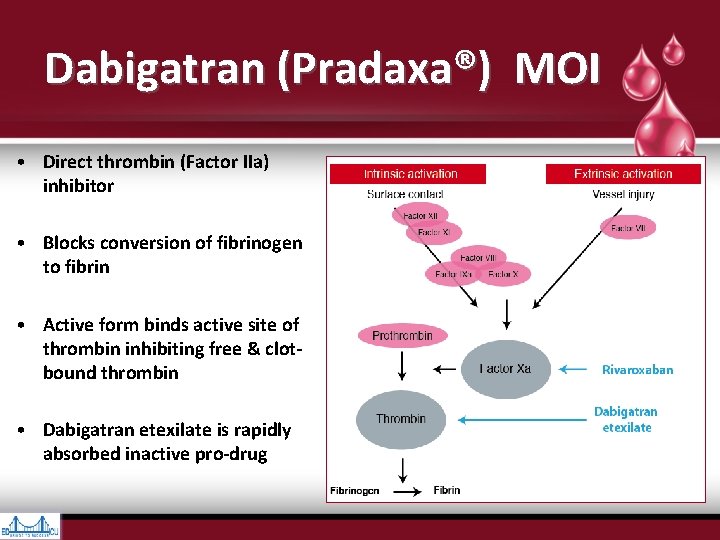 Dabigatran (Pradaxa®) MOI • Direct thrombin (Factor IIa) inhibitor • Blocks conversion of fibrinogen Dabigatran (Pradaxa®) MOI • Direct thrombin (Factor IIa) inhibitor • Blocks conversion of fibrinogen