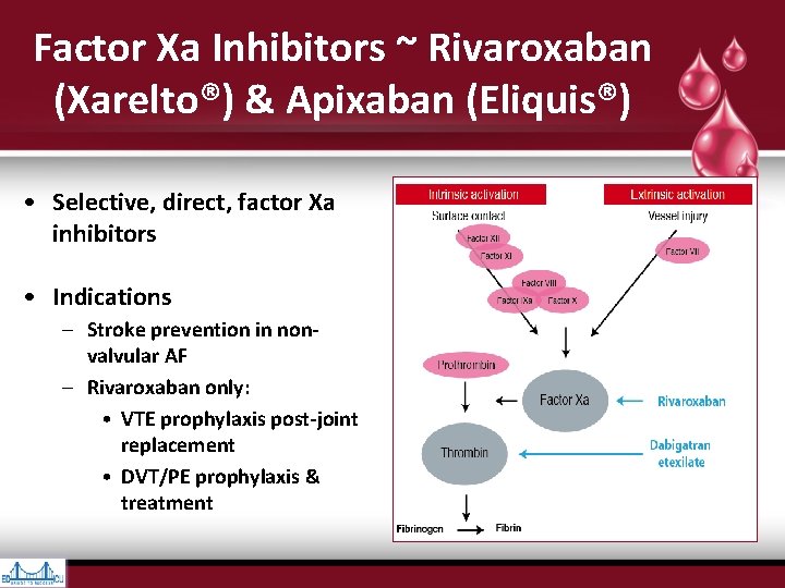 Factor Xa Inhibitors ~ Rivaroxaban (Xarelto®) & Apixaban (Eliquis®) • Selective, direct, factor Xa Factor Xa Inhibitors ~ Rivaroxaban (Xarelto®) & Apixaban (Eliquis®) • Selective, direct, factor Xa