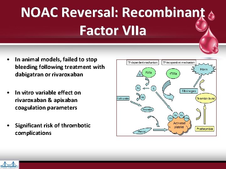 NOAC Reversal: Recombinant Factor VIIa • In animal models, failed to stop bleeding following NOAC Reversal: Recombinant Factor VIIa • In animal models, failed to stop bleeding following